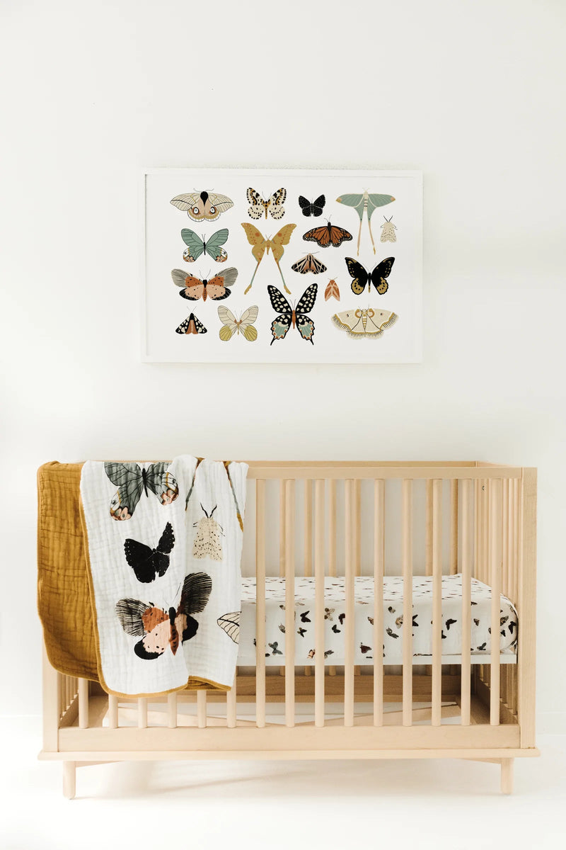 Butterfly Collector Quilt - Pinecone Trading Co.