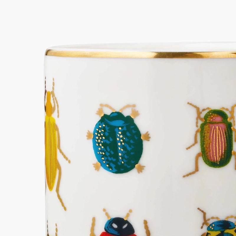 Curio Beetles + Bugs Porcelain Vase - Pinecone Trading Co.