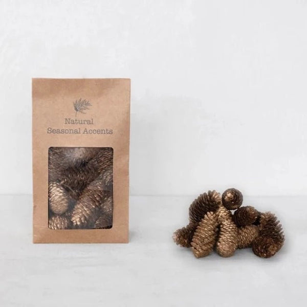 Dried Natural Pinecones - Pinecone Trading Co.