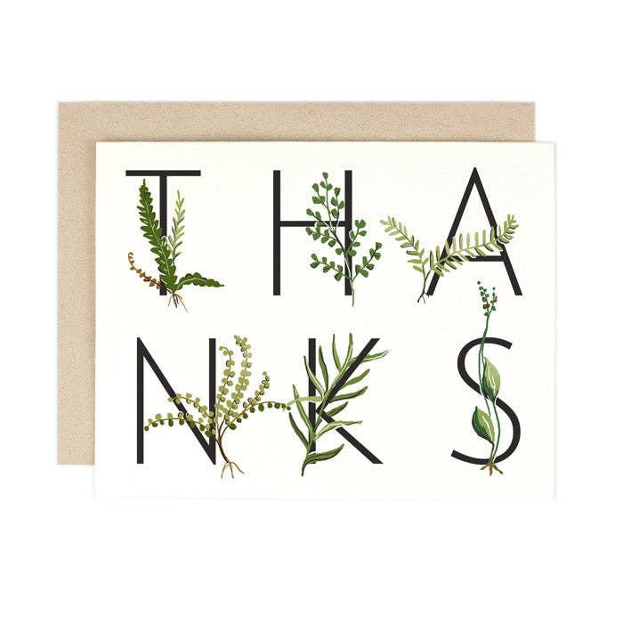 Fern Thanks - Pinecone Trading Co.