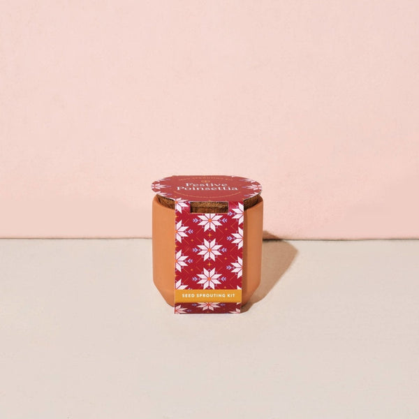 Festive Pointsettia Terracotta Grow Kit - Pinecone Trading Co.