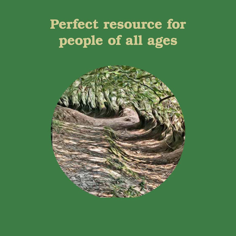 Forest School for Grown-Ups - Pinecone Trading Co.