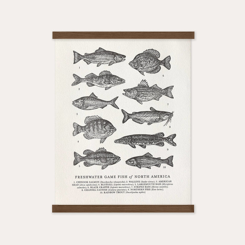 Guide to Freshwater Fish - Pinecone Trading Co.