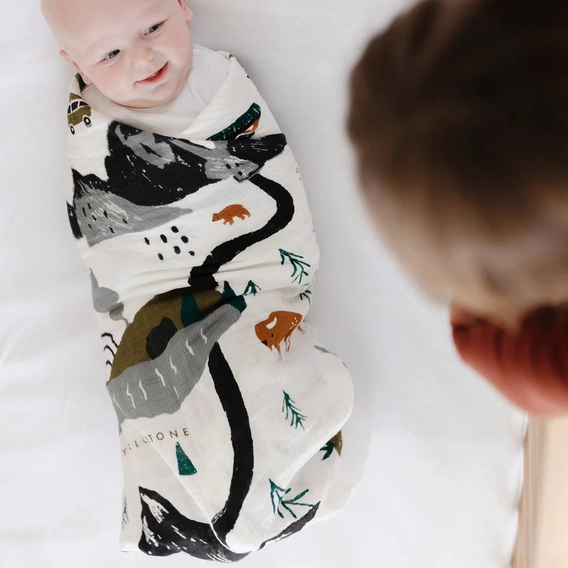 National Parks Swaddle - Pinecone Trading Co.