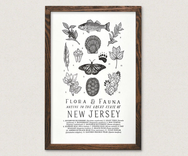 New Jersey Field Guide - Pinecone Trading Co.