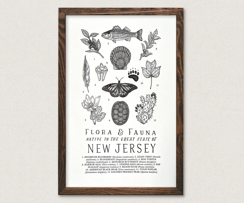 New Jersey Field Guide - Pinecone Trading Co.