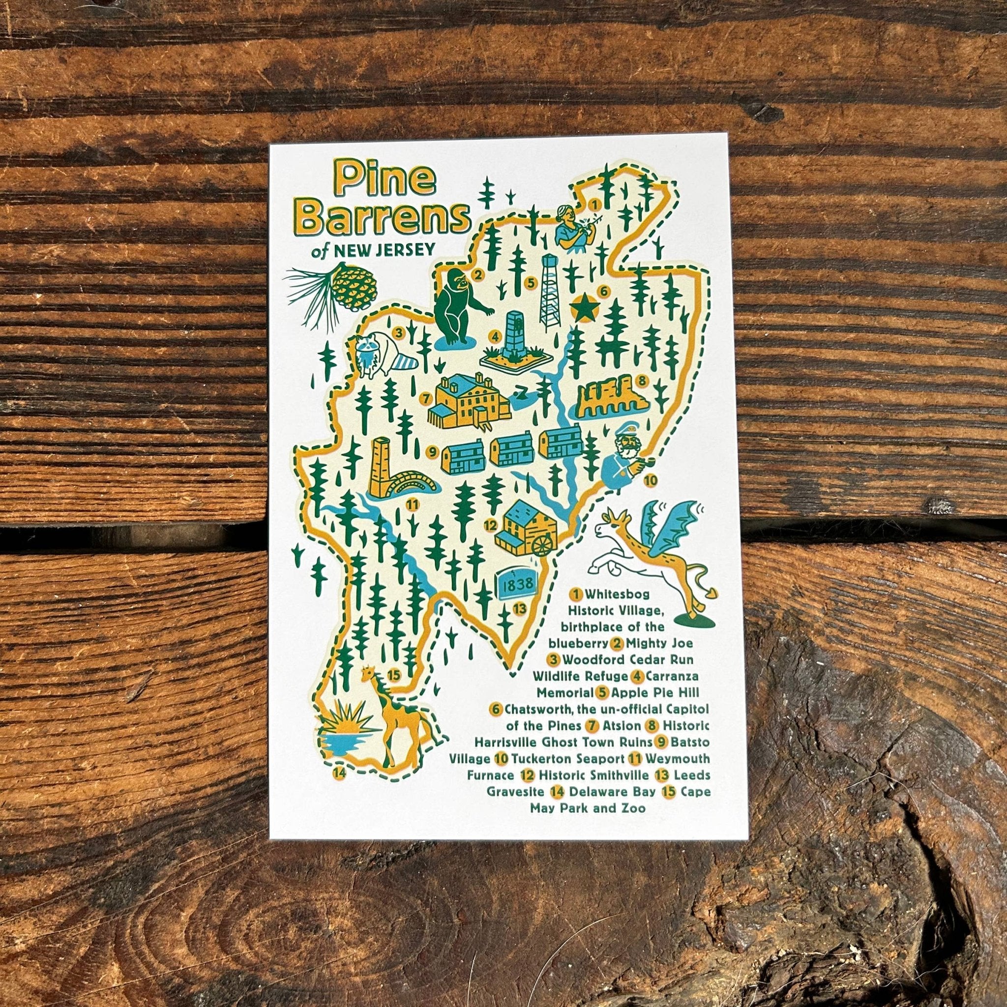 NJ Pine Barrens Post Card Pinecone Trading Co.