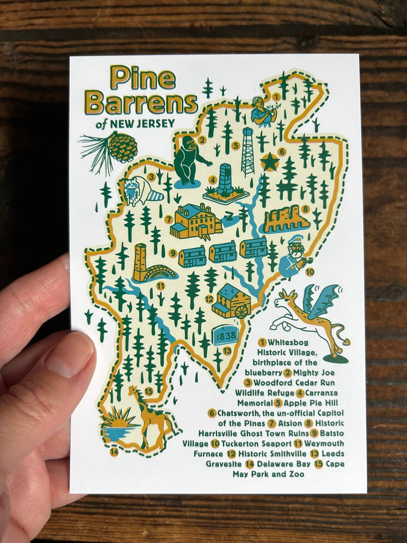 NJ Pine Barrens Post Card - Pinecone Trading Co.