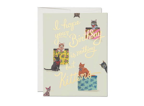 Nothing But Kittens Card - Pinecone Trading Co.