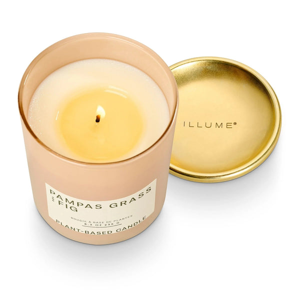 Pampas Grass & Fig Jar Candle - Pinecone Trading Co.