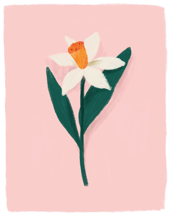 Peachy Spring Daffodil Art Print - Pinecone Trading Co.