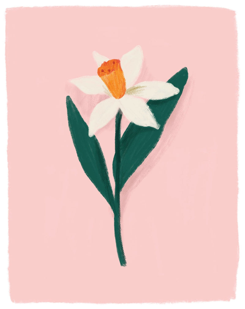 Peachy Spring Daffodil Art Print - Pinecone Trading Co.