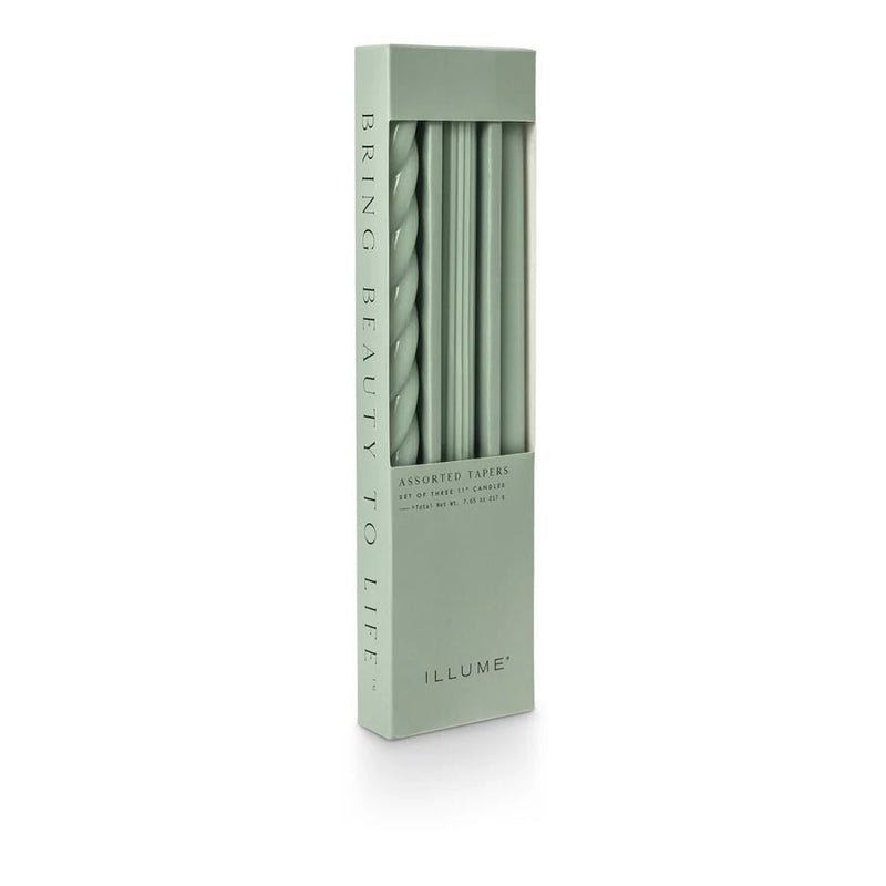 Sage Green Assorted Tapers - Pinecone Trading Co.