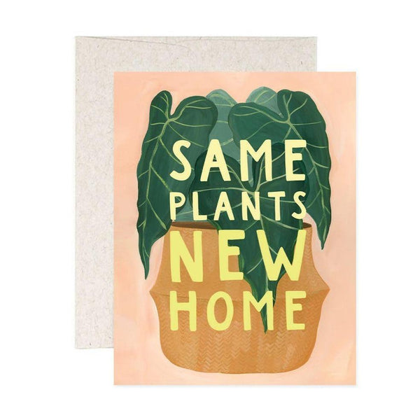 Same Plants, New Home - Pinecone Trading Co.