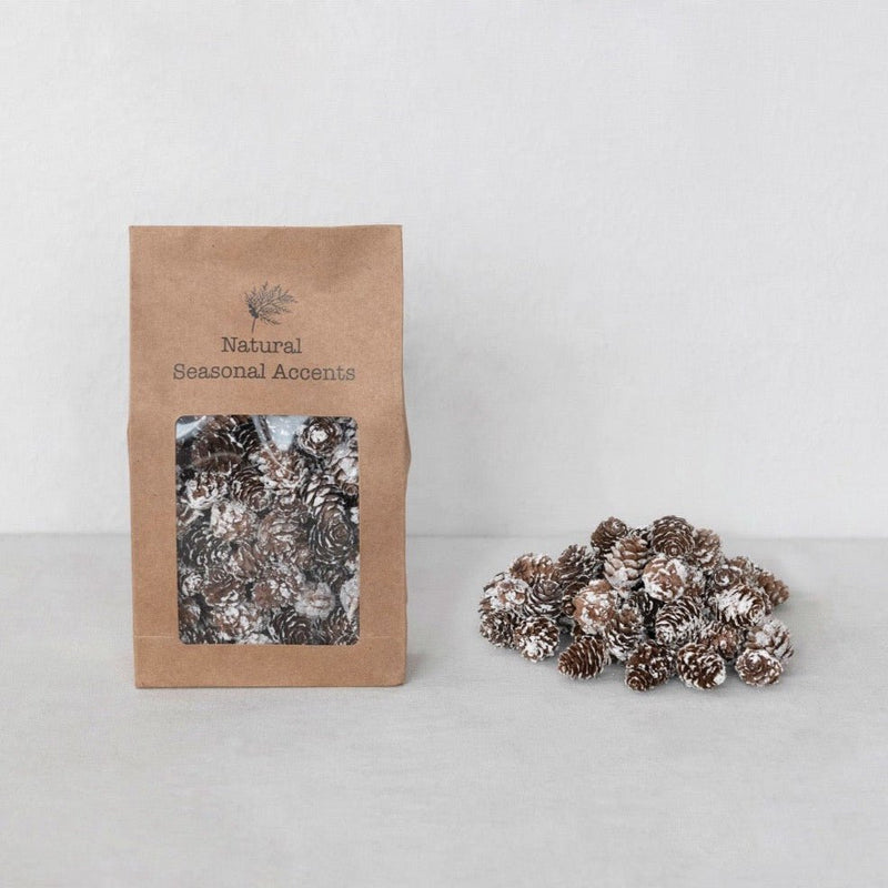 Snowy Dried Natural Pinecones - Pinecone Trading Co.